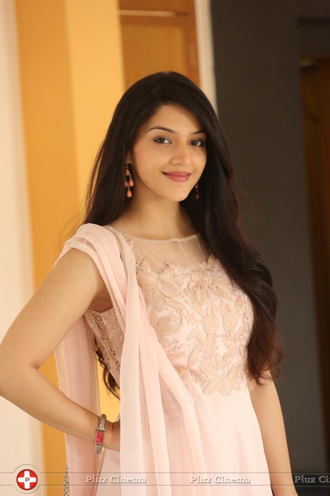 Mehreen Kaur at Krishna Gadi Veera Prema Gadha Movie Thanks Meet Stills | Picture 1236130