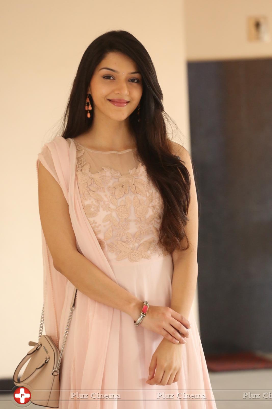 Mehreen Kaur at Krishna Gadi Veera Prema Gadha Movie Thanks Meet Stills | Picture 1236141