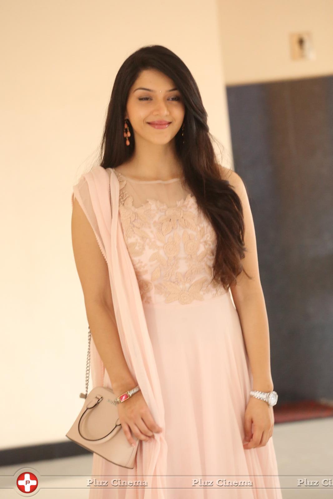 Mehreen Kaur at Krishna Gadi Veera Prema Gadha Movie Thanks Meet Stills | Picture 1236145