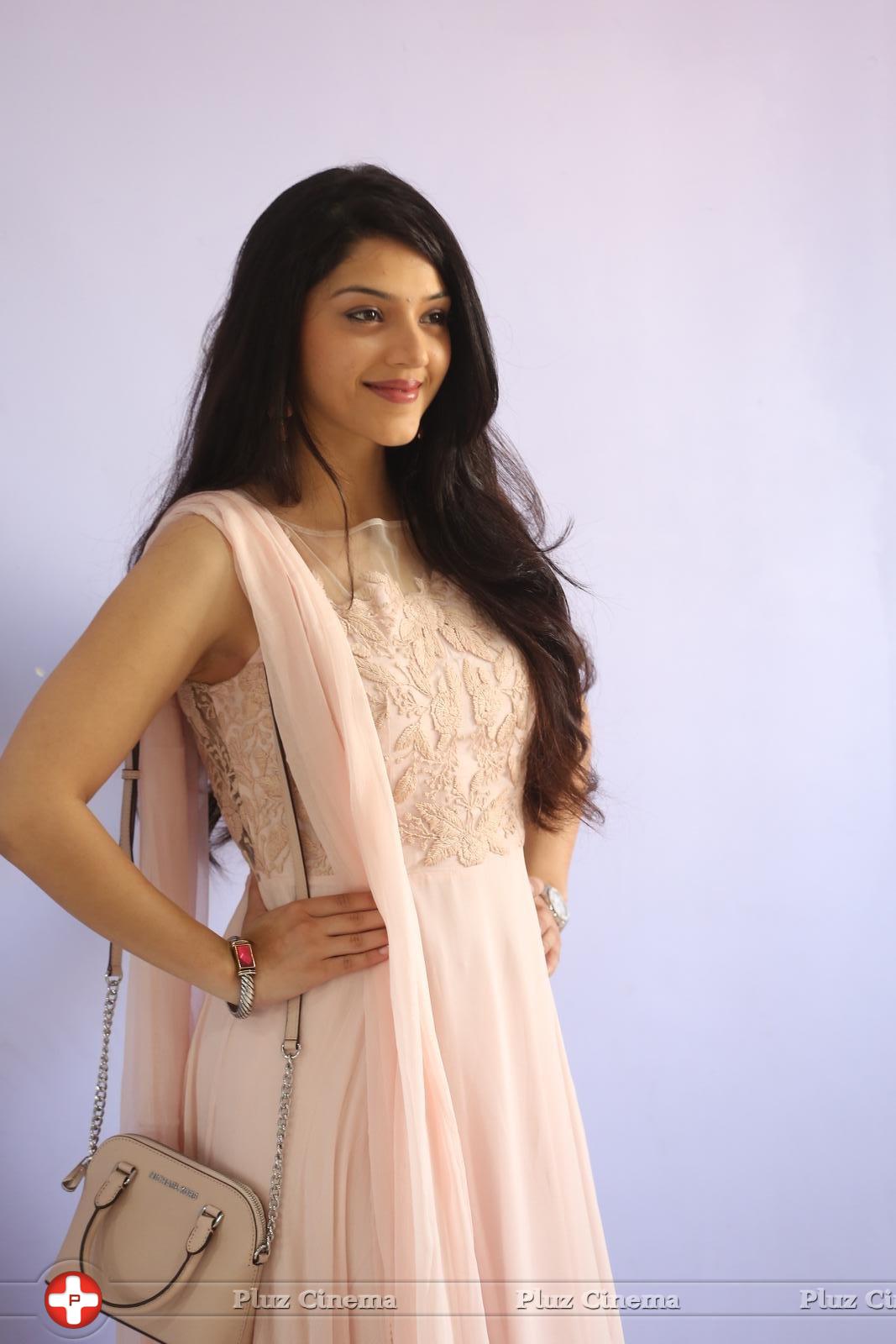 Mehreen Kaur at Krishna Gadi Veera Prema Gadha Movie Thanks Meet Stills | Picture 1236210