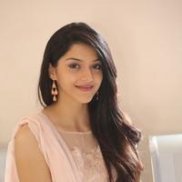 Mehreen Kaur at Krishna Gadi Veera Prema Gadha Movie Thanks Meet Stills | Picture 1236087