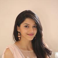 Mehreen Kaur at Krishna Gadi Veera Prema Gadha Movie Thanks Meet Stills | Picture 1236088