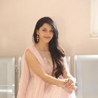 Mehreen Kaur at Krishna Gadi Veera Prema Gadha Movie Thanks Meet Stills | Picture 1236099