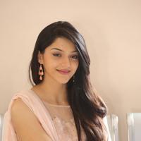 Mehreen Kaur at Krishna Gadi Veera Prema Gadha Movie Thanks Meet Stills | Picture 1236101