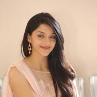 Mehreen Kaur at Krishna Gadi Veera Prema Gadha Movie Thanks Meet Stills | Picture 1236102