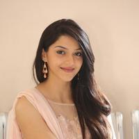 Mehreen Kaur at Krishna Gadi Veera Prema Gadha Movie Thanks Meet Stills | Picture 1236103