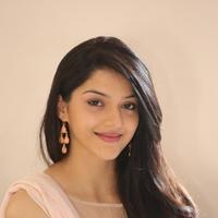 Mehreen Kaur at Krishna Gadi Veera Prema Gadha Movie Thanks Meet Stills | Picture 1236105