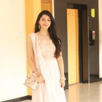 Mehreen Kaur at Krishna Gadi Veera Prema Gadha Movie Thanks Meet Stills | Picture 1236120