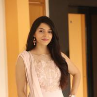 Mehreen Kaur at Krishna Gadi Veera Prema Gadha Movie Thanks Meet Stills | Picture 1236123