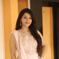 Mehreen Kaur at Krishna Gadi Veera Prema Gadha Movie Thanks Meet Stills | Picture 1236124