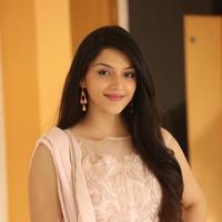 Mehreen Kaur at Krishna Gadi Veera Prema Gadha Movie Thanks Meet Stills | Picture 1236125