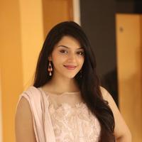 Mehreen Kaur at Krishna Gadi Veera Prema Gadha Movie Thanks Meet Stills | Picture 1236126