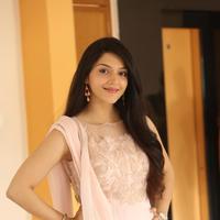 Mehreen Kaur at Krishna Gadi Veera Prema Gadha Movie Thanks Meet Stills | Picture 1236127