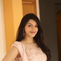 Mehreen Kaur at Krishna Gadi Veera Prema Gadha Movie Thanks Meet Stills | Picture 1236130