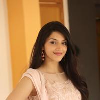 Mehreen Kaur at Krishna Gadi Veera Prema Gadha Movie Thanks Meet Stills | Picture 1236131