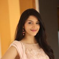 Mehreen Kaur at Krishna Gadi Veera Prema Gadha Movie Thanks Meet Stills | Picture 1236133