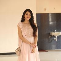 Mehreen Kaur at Krishna Gadi Veera Prema Gadha Movie Thanks Meet Stills | Picture 1236140