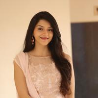 Mehreen Kaur at Krishna Gadi Veera Prema Gadha Movie Thanks Meet Stills | Picture 1236142