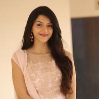 Mehreen Kaur at Krishna Gadi Veera Prema Gadha Movie Thanks Meet Stills | Picture 1236143