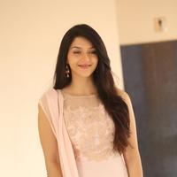 Mehreen Kaur at Krishna Gadi Veera Prema Gadha Movie Thanks Meet Stills | Picture 1236145