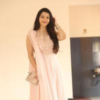 Mehreen Kaur at Krishna Gadi Veera Prema Gadha Movie Thanks Meet Stills | Picture 1236148