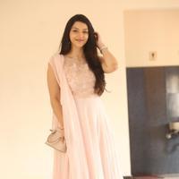 Mehreen Kaur at Krishna Gadi Veera Prema Gadha Movie Thanks Meet Stills | Picture 1236149