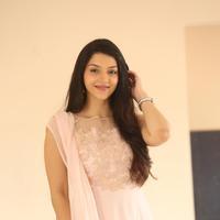 Mehreen Kaur at Krishna Gadi Veera Prema Gadha Movie Thanks Meet Stills | Picture 1236153