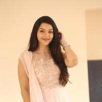 Mehreen Kaur at Krishna Gadi Veera Prema Gadha Movie Thanks Meet Stills | Picture 1236154