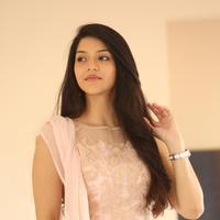 Mehreen Kaur at Krishna Gadi Veera Prema Gadha Movie Thanks Meet Stills | Picture 1236156