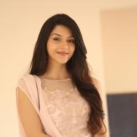 Mehreen Kaur at Krishna Gadi Veera Prema Gadha Movie Thanks Meet Stills | Picture 1236164