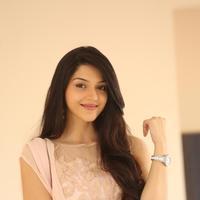 Mehreen Kaur at Krishna Gadi Veera Prema Gadha Movie Thanks Meet Stills | Picture 1236173