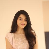 Mehreen Kaur at Krishna Gadi Veera Prema Gadha Movie Thanks Meet Stills | Picture 1236178