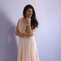 Mehreen Kaur at Krishna Gadi Veera Prema Gadha Movie Thanks Meet Stills | Picture 1236180