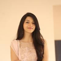 Mehreen Kaur at Krishna Gadi Veera Prema Gadha Movie Thanks Meet Stills | Picture 1236181