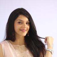 Mehreen Kaur at Krishna Gadi Veera Prema Gadha Movie Thanks Meet Stills | Picture 1236198