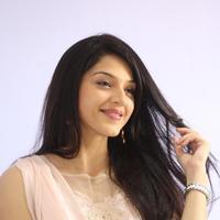 Mehreen Kaur at Krishna Gadi Veera Prema Gadha Movie Thanks Meet Stills | Picture 1236200