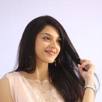 Mehreen Kaur at Krishna Gadi Veera Prema Gadha Movie Thanks Meet Stills | Picture 1236201