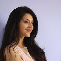 Mehreen Kaur at Krishna Gadi Veera Prema Gadha Movie Thanks Meet Stills | Picture 1236207