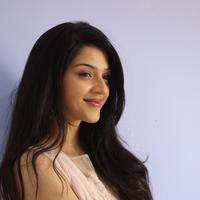 Mehreen Kaur at Krishna Gadi Veera Prema Gadha Movie Thanks Meet Stills | Picture 1236208