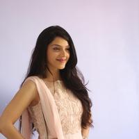 Mehreen Kaur at Krishna Gadi Veera Prema Gadha Movie Thanks Meet Stills | Picture 1236210