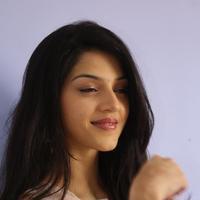 Mehreen Kaur at Krishna Gadi Veera Prema Gadha Movie Thanks Meet Stills | Picture 1236213