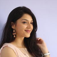 Mehreen Kaur at Krishna Gadi Veera Prema Gadha Movie Thanks Meet Stills | Picture 1236216