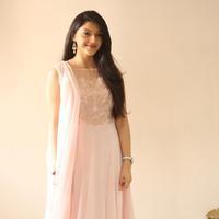 Mehreen Kaur at Krishna Gadi Veera Prema Gadha Movie Thanks Meet Stills | Picture 1236226