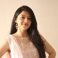 Mehreen Kaur at Krishna Gadi Veera Prema Gadha Movie Thanks Meet Stills | Picture 1236233