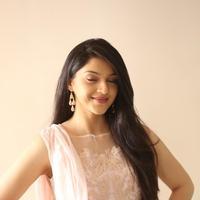 Mehreen Kaur at Krishna Gadi Veera Prema Gadha Movie Thanks Meet Stills | Picture 1236235