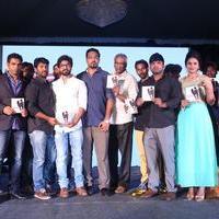 Love Cheyyala Vadda Movie Audio Launch Stills | Picture 1237856