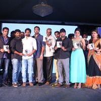 Love Cheyyala Vadda Movie Audio Launch Stills | Picture 1237876