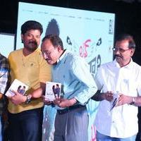 Love Cheyyala Vadda Movie Audio Launch Stills | Picture 1237880
