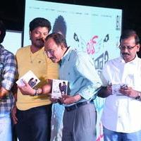 Love Cheyyala Vadda Movie Audio Launch Stills | Picture 1237881
