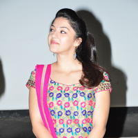 Mehreen Kaur - Krishna Gadi Veera Prema Gadha Movie Success Meet Photos
